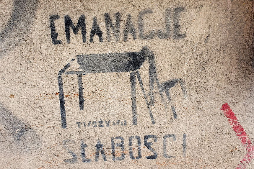 Emanacje słabości, szablon grupy Twożywo