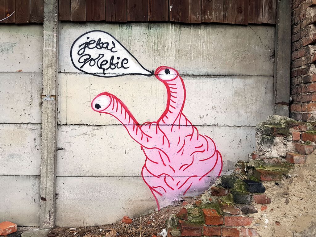 Miss Dorys i jej różowy żylak z napisem Jebać gołębie